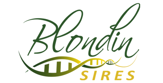 BLONDIN SIRES INC. BLONDIN SIRES INC.
