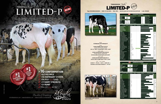 𝗟𝗜𝗠𝗜𝗧𝗘𝗗 𝗣 #𝟭 𝗣𝗥𝗢𝗩𝗘𝗡 CONFORMATION SIRE & MAMMARY SYSTEM!