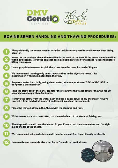 Procedimientos de manipulación y descongelación de semen bovino.